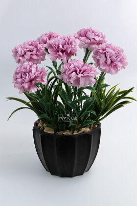 Siyah Saksıda Luna Karanfil Tanzim 25 cm Lila - 2