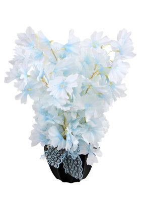 Siyah Saksıda Mini Sakura Ağacı Pastel Mavi - 2