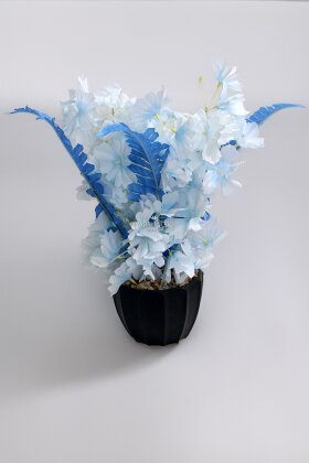 Siyah Saksıda Mini Sakura Ağacı Pastel Mavi - 2