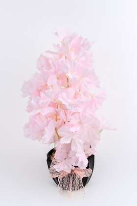 Siyah Saksıda Mini Sakura Ağacı Pastel Pembe - 2