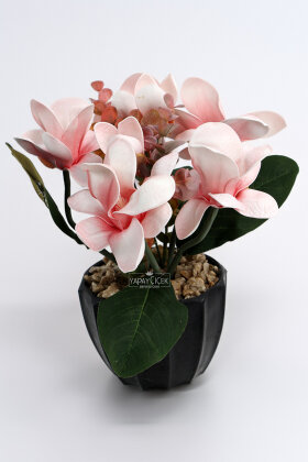 Siyah Saksıda Prizma Manolya Tanzimi 25 cm Pembe - 2