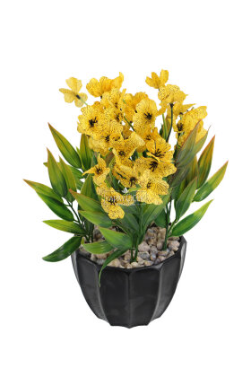 Siyah Saksıda Safir Damarlı Tanzimi 27 cm Sarı - 2