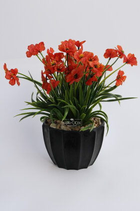 Siyah Saksıda Safir Damarlı Tanzimi 26 cm Turuncu - 2