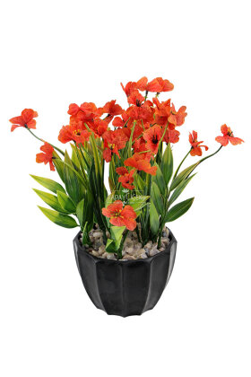 Siyah Saksıda Safir Damarlı Tanzimi 26 cm Turuncu - 2