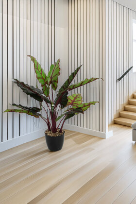 Siyah Saksılı Yapay Ağaç Küçük Fil Kulağı 75 cm Yeşil-Kızıl - Yapay Çiçek Deposu