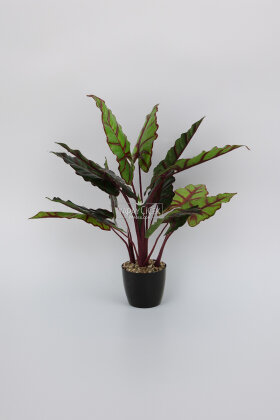 Siyah Saksılı Yapay Ağaç Küçük Fil Kulağı 75 cm Yeşil-Kızıl - 2