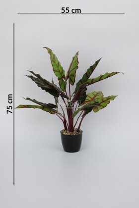 Siyah Saksılı Yapay Ağaç Küçük Fil Kulağı 75 cm Yeşil-Kızıl - 3