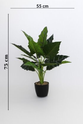 Siyah Saksılı Yapay Ağaç Küçük Fil Kulağı 75 cm Yeşil-Gri - 3