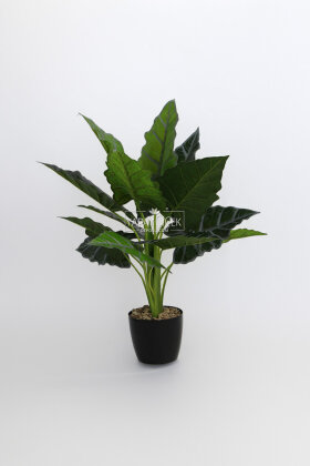 Siyah Saksılı Yapay Ağaç Küçük Fil Kulağı 75 cm Yeşil-Gri - 2