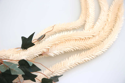 Yapay Sarkan Amarantus (Amaranthus) 150cm Krem - 3