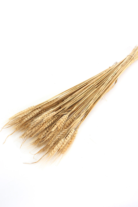 Şoklanmış Başak Demeti Naturel - Yapay Çiçek Deposu