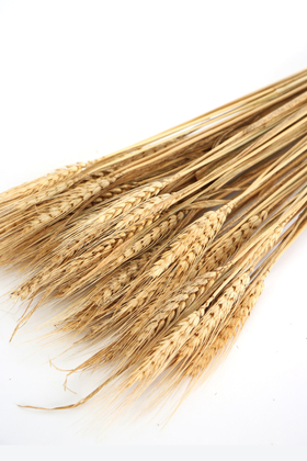 Şoklanmış Başak Demeti Naturel - 2