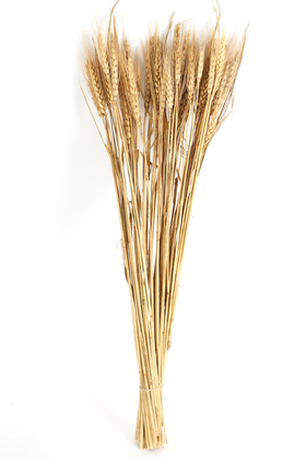 Şoklanmış Başak Demeti Naturel - 3