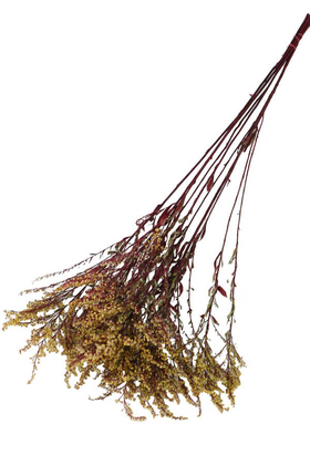 Şoklanmıs Solidago Canadensis Solidego Çiçeği Kanada Altınbaşak Sarı - Yapay Çiçek Deposu