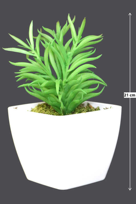 Melamin Saksıda Yapay Succulent Sukulent Peperomia 21cm - Yapay Çiçek Deposu