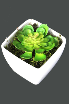 Melamin Saksıda Yapay Succulent Sukulent Perle 9 cm - 1