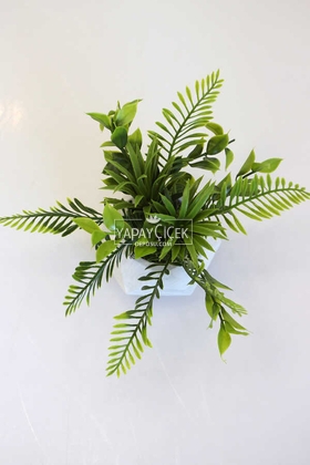 Dekoratif Geometrik Beton Saksıda Yeşillik Tanzimi 15cm - 2