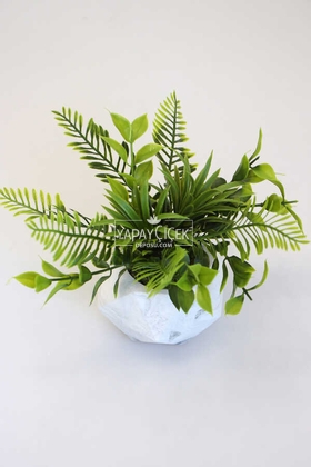 Dekoratif Geometrik Beton Saksıda Yeşillik Tanzimi 15cm - 4