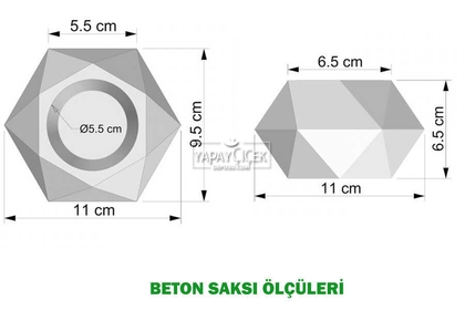 Dekoratif Geometrik Beton Saksıda Yeşillik Tanzimi 15cm - 5