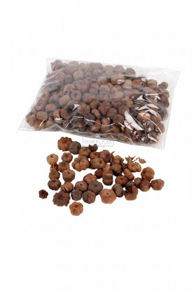 Tropik Mini Süsleme Kabak Putka Pod 100gr - 2