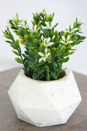 Beton Saksıda Yapay Masa Çiçeği Model 4 - 1