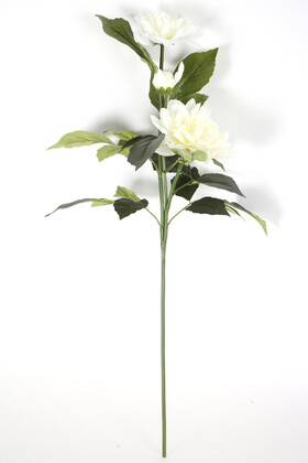 Yapay Çiçek Tek Dal Peony Gül 80 cm Kırık Beyaz - 2