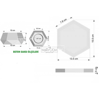 Beton Saksıda Altlıklı Pudralı İri Lavanta Seti Fuşya - 2