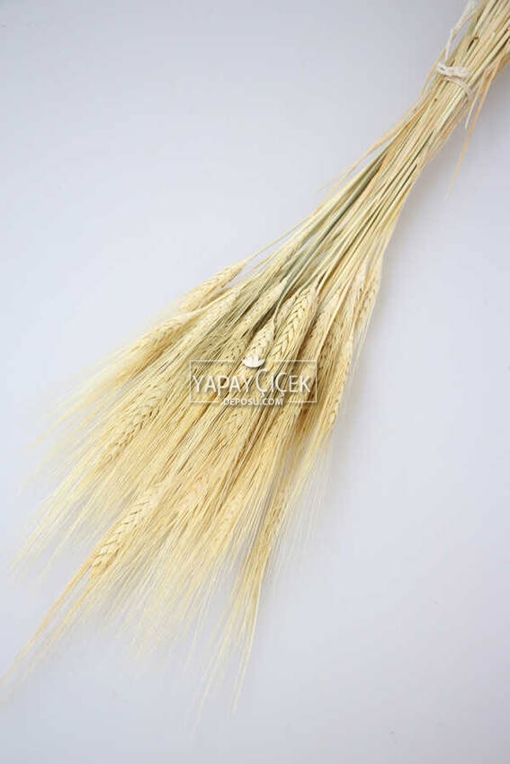 Naturel Kuru Başak Demeti - 1