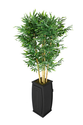 Ahşap Saksıda Lüks Yapay Bambu Ağacı 170 cm - 2