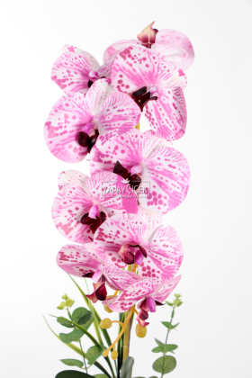 Saksıda Yapay Baskılı Islak Orkide 55 cm Fuşya-Beyaz - 3