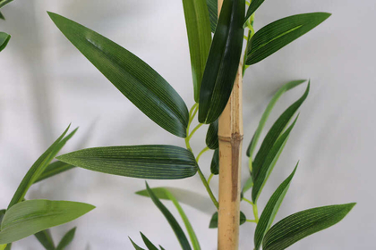 İri Yapraklı 110 cm Yapay 8 Dal Gerçek Bambu - 4