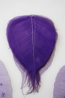 25li Paket Kurutulmuş Skeleton Yaprağı Mor - 2