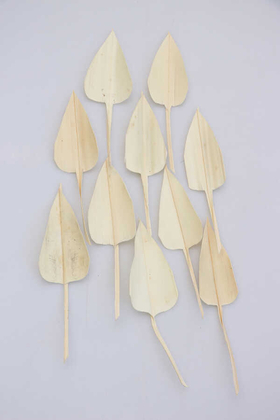 10lu Palm Arrow Leaves - 1
