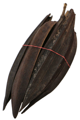 Tropikal Mini Boat Kayık 10lu - 3