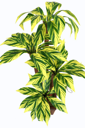 Bodur Yapay Ağaç Cordyline 120 cm Model 2 - 2