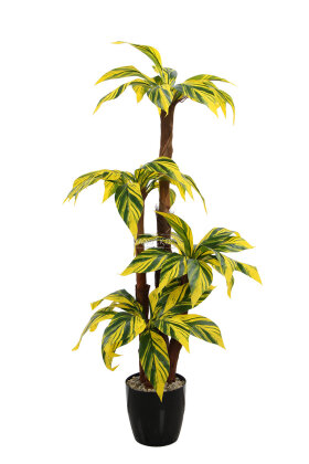 Bodur Yapay Ağaç Cordyline 125 cm Model 2 - 4