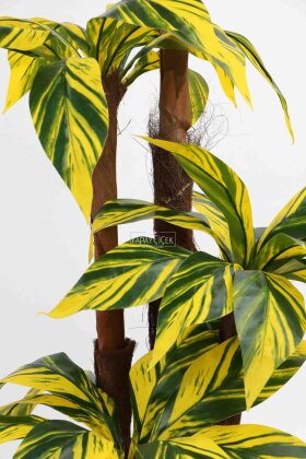 Bodur Yapay Ağaç Cordyline 125 cm Model 2 - 5