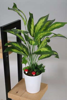 Dekoratif Beyaz Mika Saksıda Difenbahya Dieffenbachia Seguine Bitki Tanzimi 65 cm - Yapay Çiçek Deposu