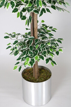 Gri Metal Saksıda Yapay Benjamin Ağacı (Ficus benjamina) 180 cm Yeşil Beyaz - 3