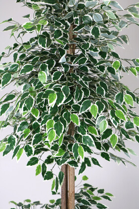 Gri Metal Saksıda Yapay Benjamin Ağacı (Ficus benjamina) 180 cm Yeşil Beyaz - 2