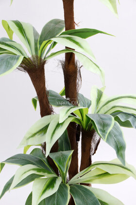 Bodur Yapay Ağaç Cordyline 120 cm Model 4 - 5
