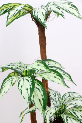 Bodur Yapay Ağaç Cordyline 120 cm Model 5 - 3