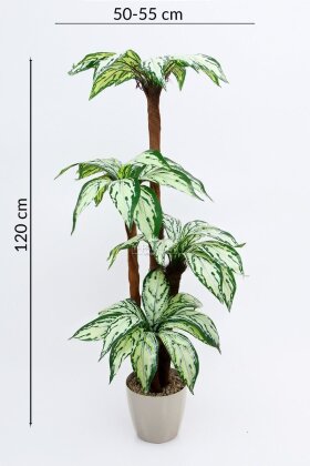 Bodur Yapay Ağaç Cordyline 120 cm Model 5 - 4