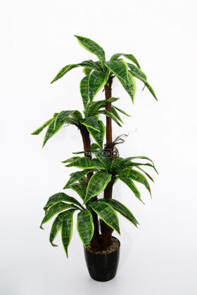 Bodur Yapay Ağaç Cordyline 125 cm Model 6 - 2