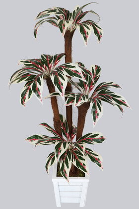 Bodur Yapay Ağaç Cordyline 120 cm Model 3 - 3