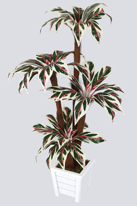 Bodur Yapay Ağaç Cordyline 120 cm Model 3 - 2