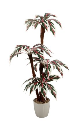 Bodur Yapay Ağaç Cordyline 120 cm Model 3 - 4