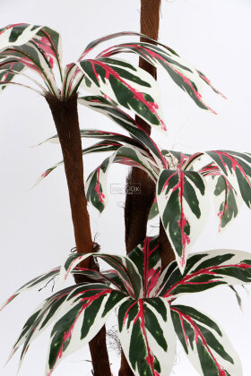 Bodur Yapay Ağaç Cordyline 120 cm Model 3 - 5