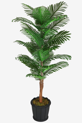 Oval Saksıda Areka Ağacı 24 Yapraklı 180 cm - 2
