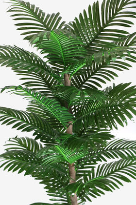 Oval Saksıda Areka Ağacı 24 Yapraklı 180 cm - 3